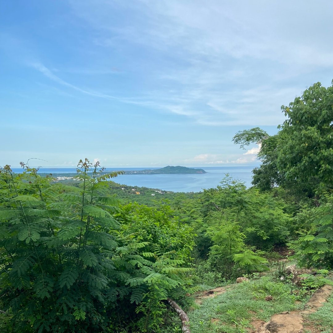 Hiking with Jesus in the Jungle